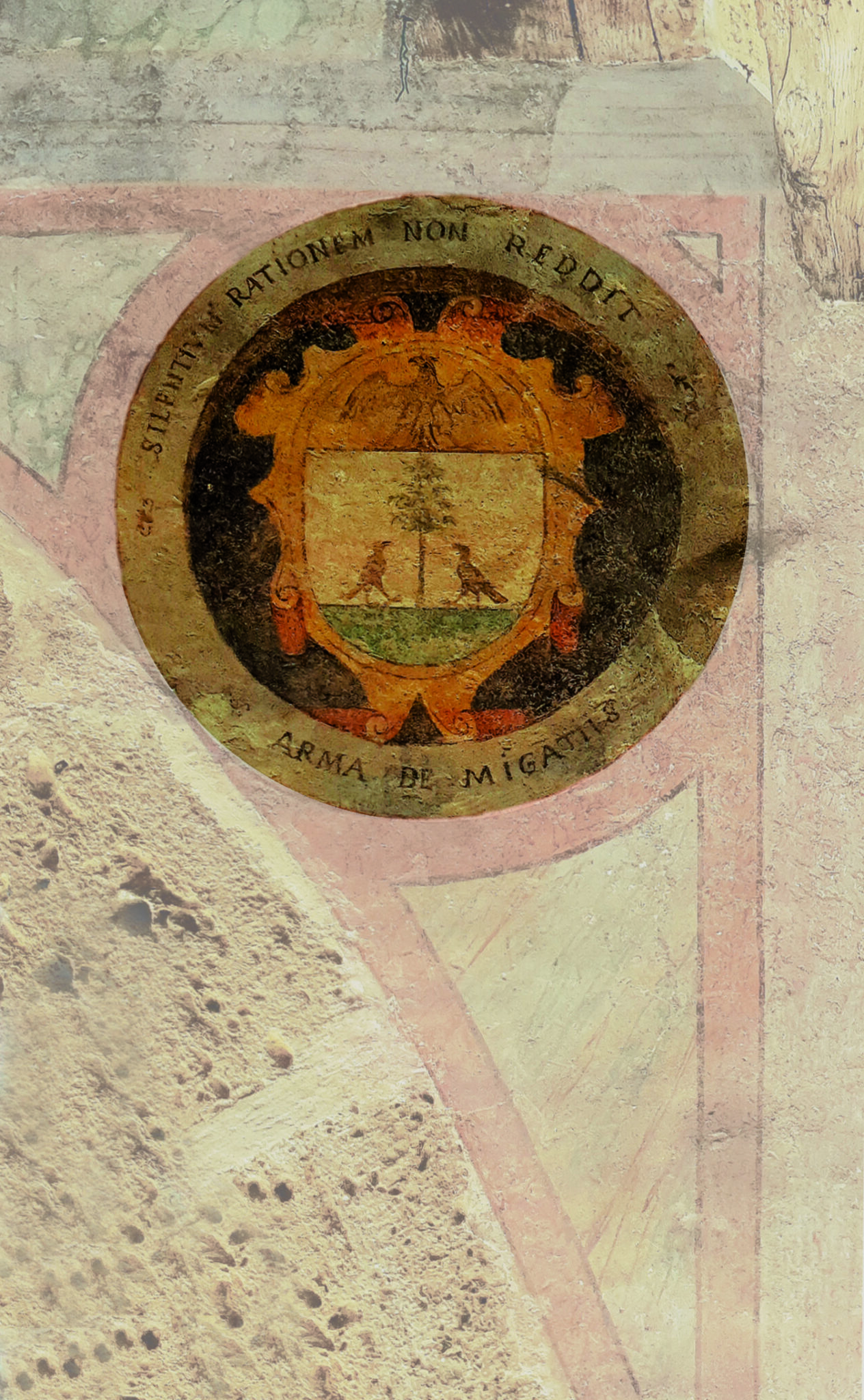 migazzi-stemma-1-prova